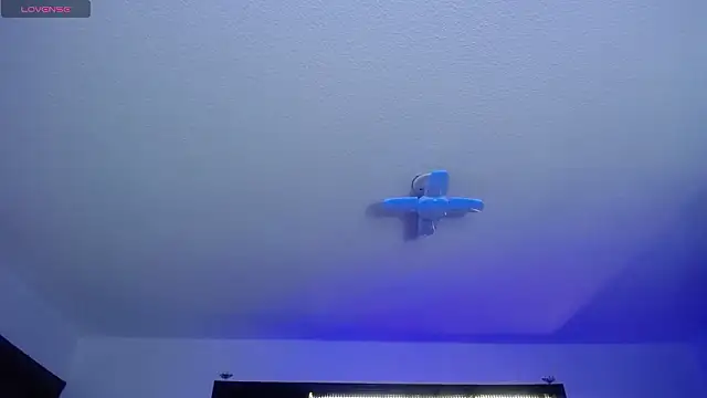  Charlotte Collins  online show from 17, 2, 2026