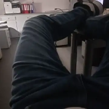 stunning stallion online show from 17, 11, 2025