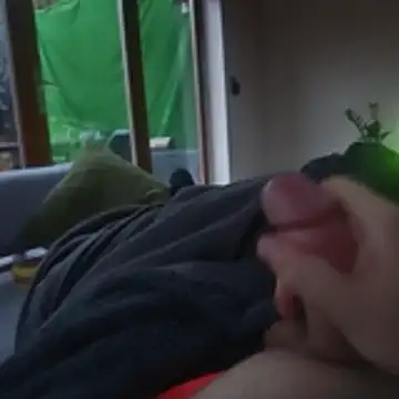 stunning stallion online show from 27, 10, 2025