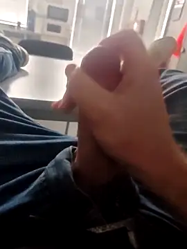 stunning stallion online show from 6, 3, 2026