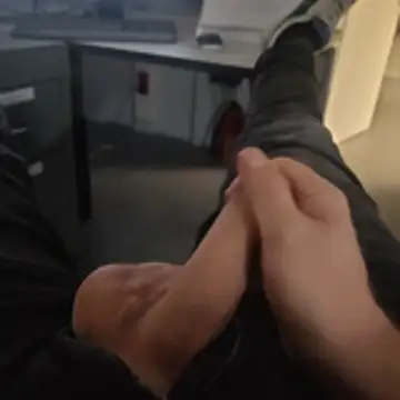 stunning stallion online show from 23, 10, 2025