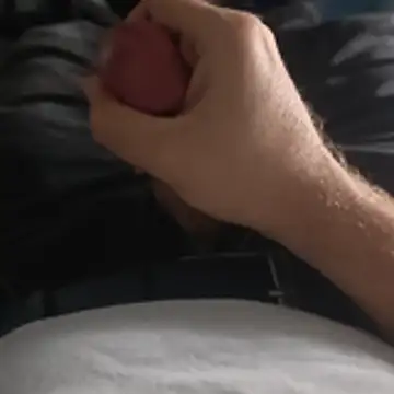 stunning stallion online show from 24, 10, 2025