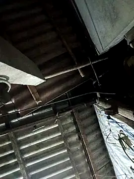 AnHa19 online show from 25, 11, 2025