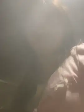 AnHa19 online show from 1, 3, 2026