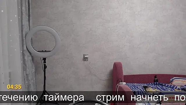 glasses cat online show from 12, 11, 2025