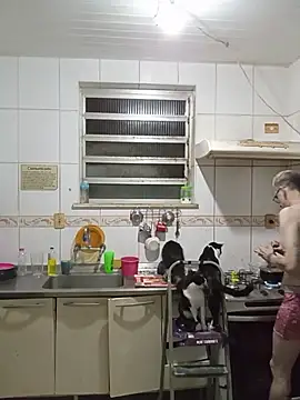 dinho carioca online show from 2, 4, 2026