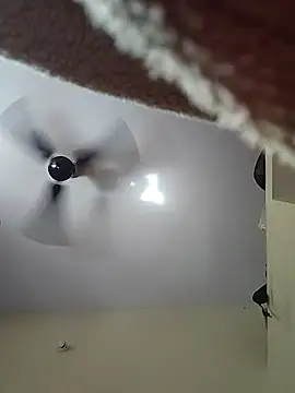 Silk Smitha 27 online show from 2, 11, 2025