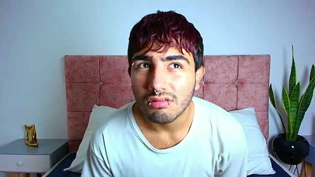 Ares Alpha online show from 22, 11, 2025