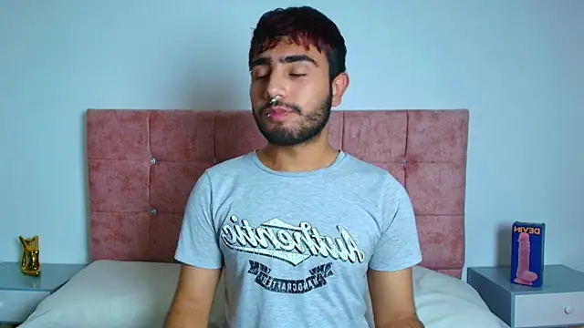 Ares Alpha online show from 12, 11, 2025