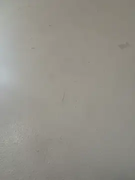 diamondunleashes online show from 20, 4, 2026