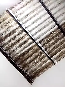 anitotori online show from 30, 10, 2025