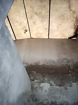 monster 33 online show from 24, 10, 2025