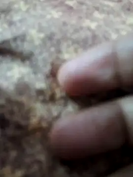 BeautyGirl sara online show from 14, 2, 2026