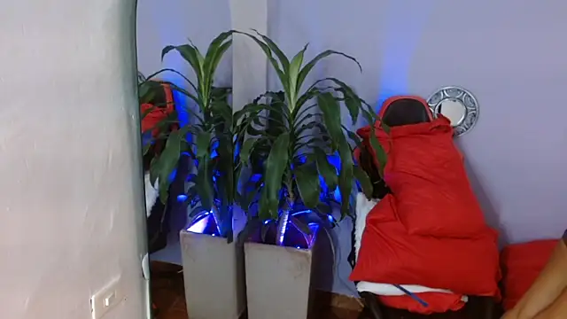 ivy scorpio online show from 15, 10, 2025