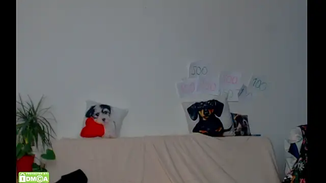 ZeinMiracles online show from 17, 2, 2026