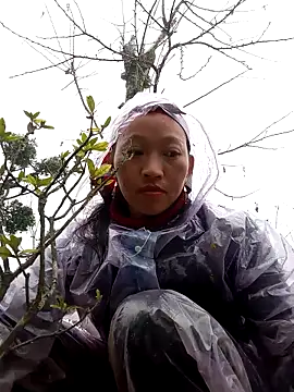 tcm-cute online show from 3, 11, 2025