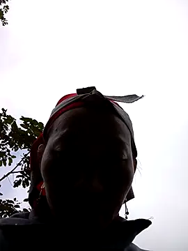 tcm-cute online show from 6, 11, 2025