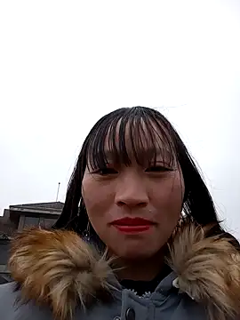 tcm-cute online show from 4, 12, 2025