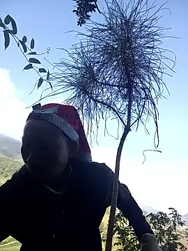 tcm-cute online show from 28, 10, 2025