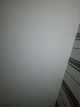 georddie online show from 2, 11, 2025