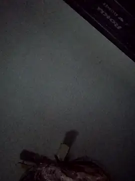 pussyeater40 online show from 21, 11, 2025