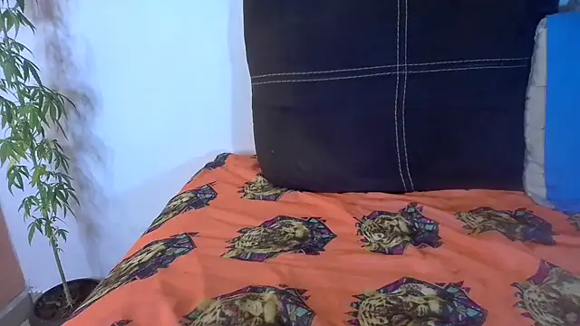 Analvamp online show from 21, 10, 2025