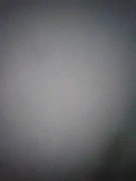 Perropa online show from 27, 3, 2026