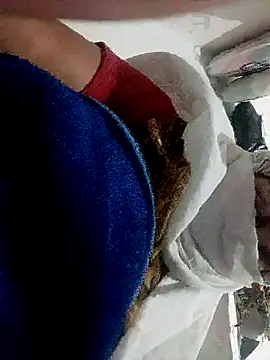 Payal950 online show from 1, 11, 2025