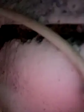 Snapshot of Payal950 chatting on 3, 12, 2025 Payal950 online show from 3, 12, 2025