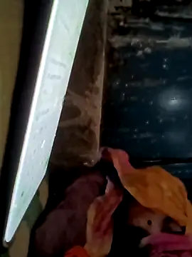 Payal950 online show from 16, 11, 2025