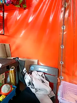 Sol Sunny online show from 8, 2, 2026