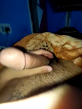 Exotic19cm online show from 18, 12, 2025