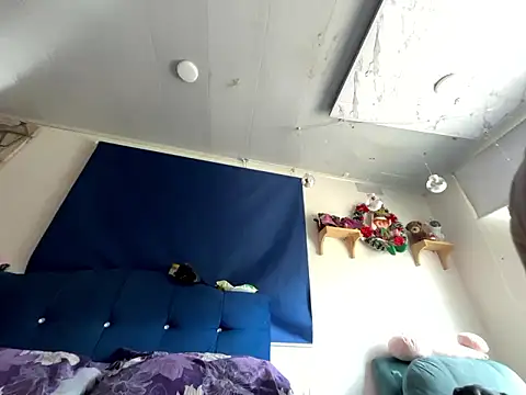 amanne misa online show from 15, 1, 2026