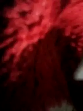 Radha8080 online show from 13, 11, 2025