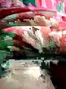 Radha8080 online show from 21, 11, 2025