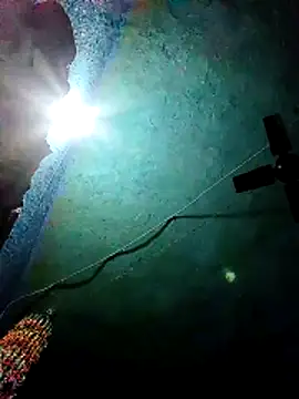 Nehaja33e online show from 25, 11, 2025