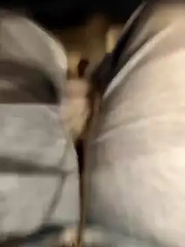 TaraWild online show from 16, 9, 2025