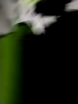 danigarci2307 online show from 21, 10, 2025