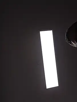 danigarci2307 online show from 7, 2, 2026