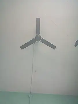 ShinuRoy online show from 12, 1, 2026