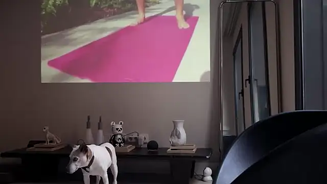 Sir box online show from 16, 9, 2025