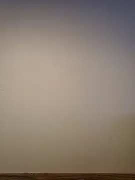 AlphaGymMale online show from 10, 3, 2026