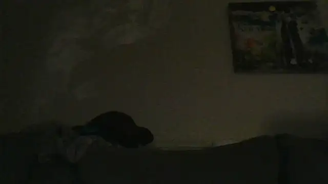 Snapshot of branletteur chatting on 6, 10, 2025 branletteur online show from 6, 10, 2025