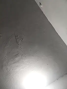 xyz-indian online show from 2, 11, 2025