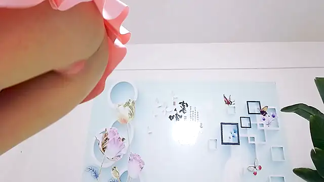 Tianxin6 online show from 5, 12, 2025