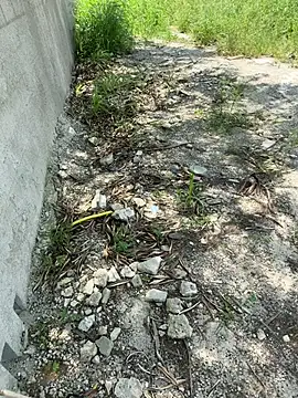 magraocam online show from 19, 2, 2026