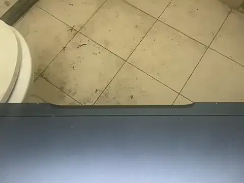 LustyDuoSecrets online show from 3, 11, 2025