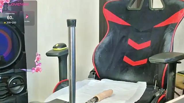 PrettyMegan online show from 12, 11, 2025