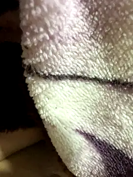 anhyeucuaemdayne online show from 9, 11, 2025