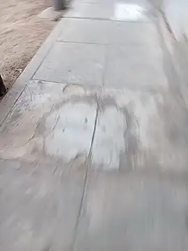 Bebicho14 online show from 12, 2, 2026